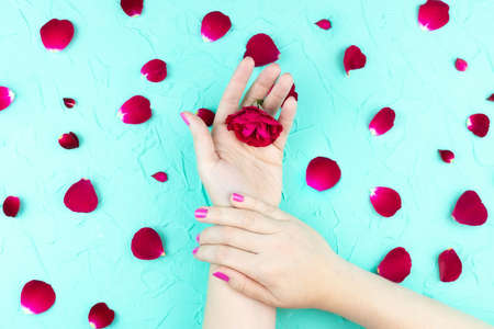 Beauty gentle hands with flowers and flower petals on blue background, hands with beautiful bright makeup and rose petalsの写真素材
