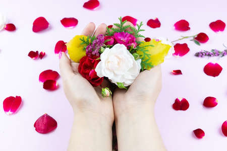 Beauty gentle hands with flowers and flower petals on pink background, hands with beautiful bright makeup and rose petalsの写真素材