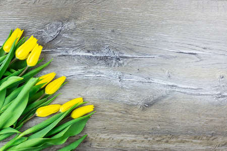 Yellow tulips over wooden table background with copy spaceの写真素材
