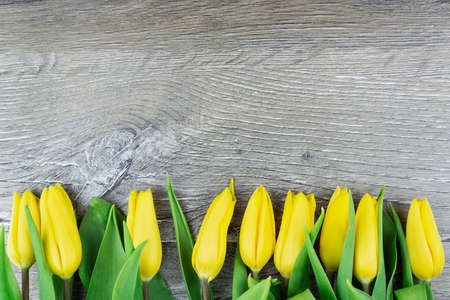 Yellow tulips over wooden table background with copy space