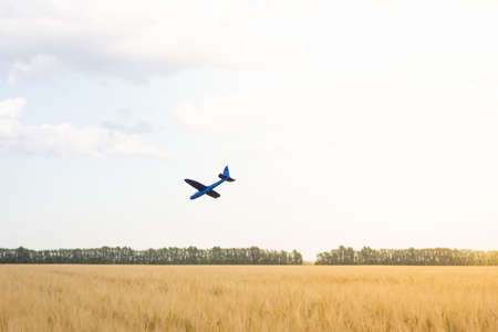 the plane fell into the field, a toy plane on the grassの写真素材