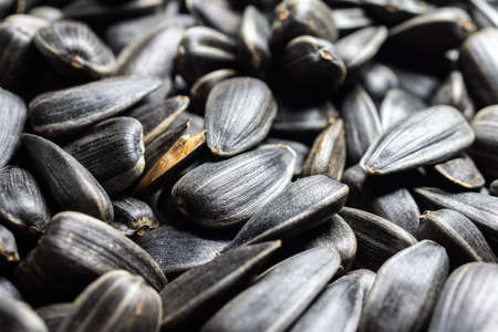 Organic sunflower seed for background uses. Selective focusの写真素材