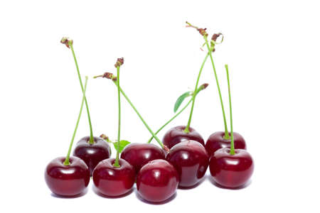 Cherry with leaves isolated on a white background.の写真素材