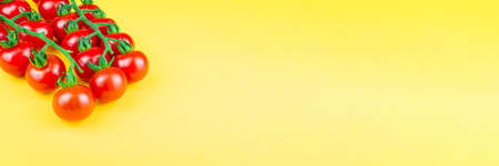 Cat cherry tomatoes on a yellow background, top view. Photo banner, space for textの写真素材
