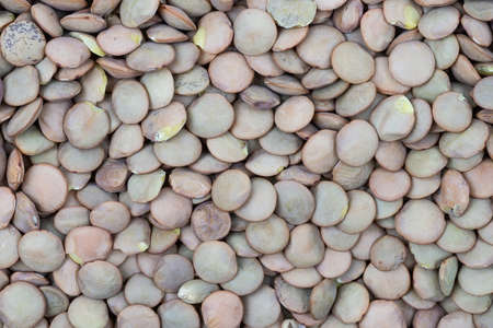 Heap of green lentil texture as background. Top view.