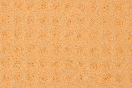 orange sponge detail texture, sponge texture background.の写真素材