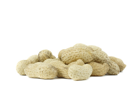 Peanut nuts isolated, peanut seeds isolate, white background, peanut nut isolated on whiteの写真素材