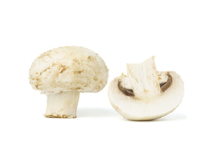 Ripe mushrooms champignons. Organic food vegetables isolated on white background.の写真素材