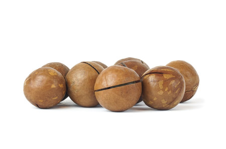 Macadamia nut isolated on a white backgroundの写真素材