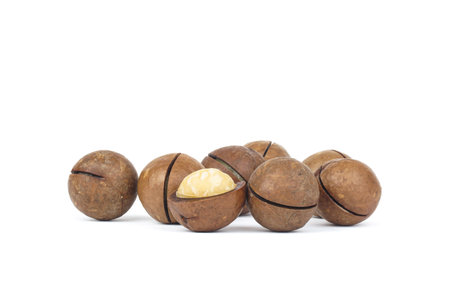 Macadamia nut isolated on a white backgroundの写真素材