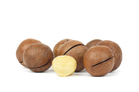 Macadamia nut isolated on a white backgroundの写真素材