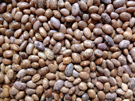 Bean grain on the table 