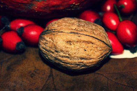 Still life and detail walnut and rose hips.