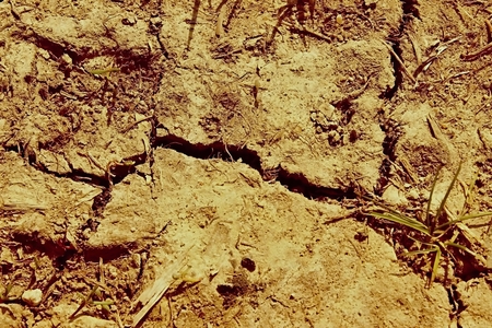 Dry soil as a result of global warming.