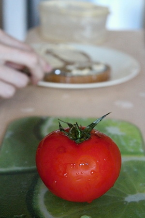 Preparation of a quick snack with vegetables.の写真素材