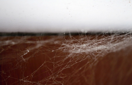 Disorder and dirty room with dust and spiders.の写真素材