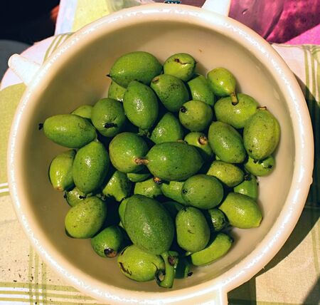 Young green wallnuts ready for homemade liquer.の写真素材