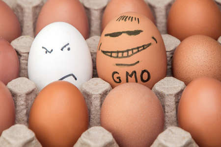 GMO food: the usual egg is unfriendly glanced at the unusually huge contented genetically modified eggの写真素材