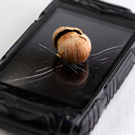 the glass of the phone is covered with concentric cracks, a split hazelnut lies on the glass, short...