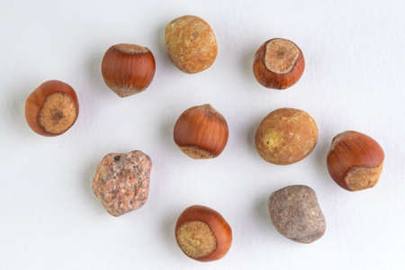 concept: a trap for online shoppers, hazelnuts are among similar in shape stonesの写真素材