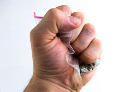 prohibition of semi-legal smoking mixtures: a bag with synthetic marijuana called "spice" is compressed in a man's fist, on a light backgroundの写真素材