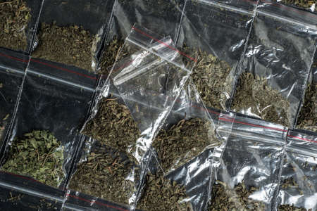 crime evidence: many packaged doses of cannabis lie in rows on a dark surfaceの写真素材