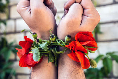 addiction concept: addict hands tied with poppy stems and flowers, increased contrast, soft focusの写真素材