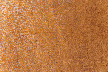 leather grunge background: an old piece of tough camel skin, with scuffs, spots, scars