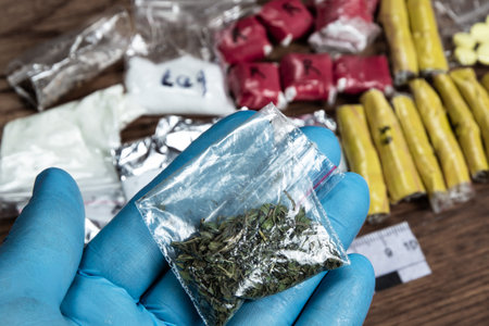 evidence of smuggling traffic: Packaging of a narcotic substance in the hand of a forensic expert...
