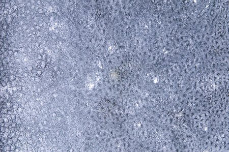 abstract background: frozen glass, short focus, toningの写真素材