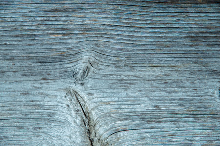 grunge background: sunburnt whitened wood surface close, cracks and dents, toningの写真素材
