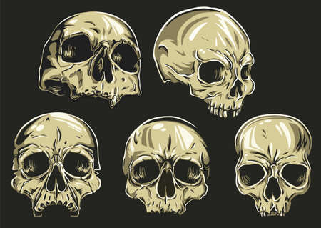 Skullsのイラスト素材