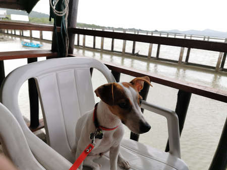 View cloud wallpaperの写真素材