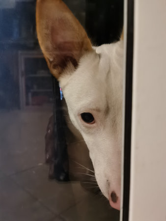 View cloud wallpaperの写真素材