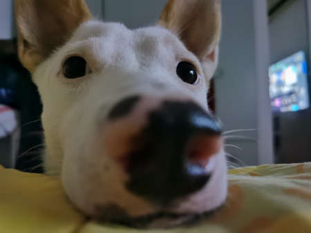 View cloud wallpaperの写真素材