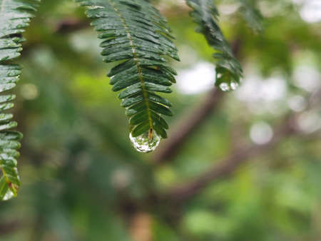 View cloud wallpaperの写真素材