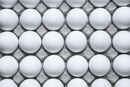 Organic egg pack isolated backgroundの写真素材