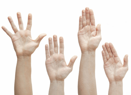 Raised up hands, palms, fingers on white background