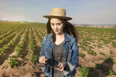 Agriculture technology farmer person using tablet computerの写真素材
