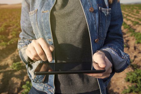 Agriculture technology farmer person using tablet computerの写真素材