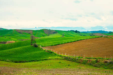 Amazing landscape with green rolling hills in springの写真素材