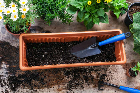 Flowers and vegetable with gardening tools outside the potting shed