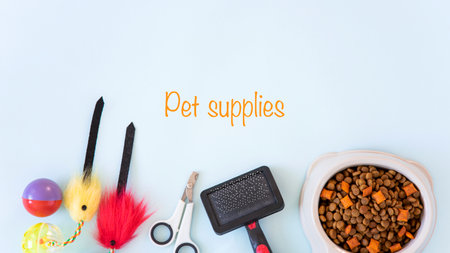 Pet accessories, food, toy. Top viewの写真素材