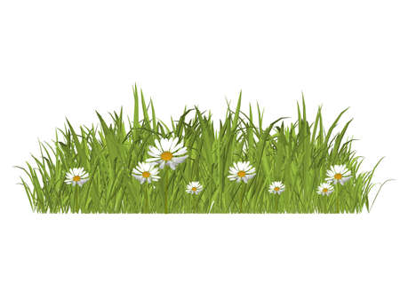 grass and flowersのイラスト素材