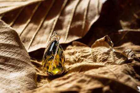 The green gemstone pendant with silver frame on leaf background.Vintage  pendant ,used for vintage fashion backgroundの写真素材