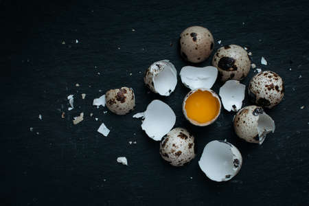 Fresh Quail eggs on dark moody background.の写真素材
