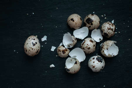 Fresh Quail eggs on dark moody background.の写真素材