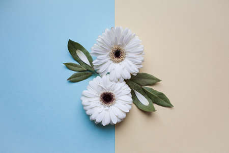 The international womens day on march background with flowers petal number.の写真素材