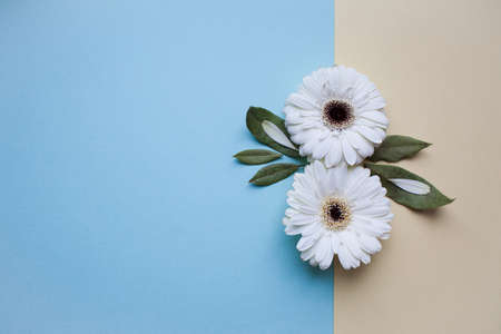The international womens day on march background with flowers petal number.の写真素材