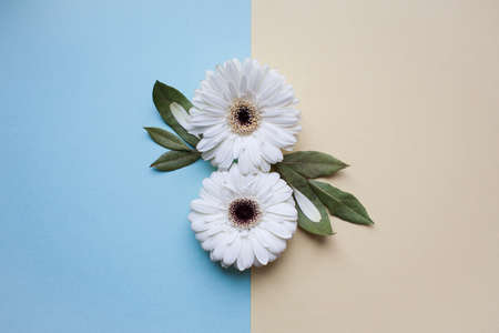 The international womens day on march background with flowers petal number.の写真素材
